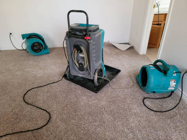 Best Professional water damage repair  in Heyburn, ID