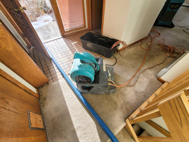 Water damage restoration insurance claims in ID