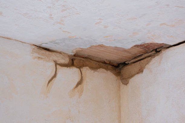 Best Flooded house restoration  in Heyburn, ID