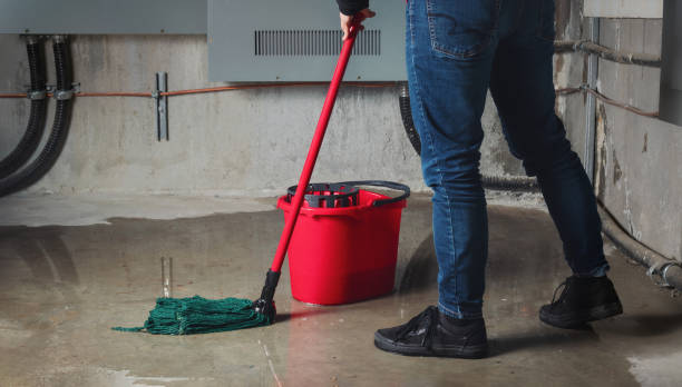 Best Water damage restoration near me  in Heyburn, ID