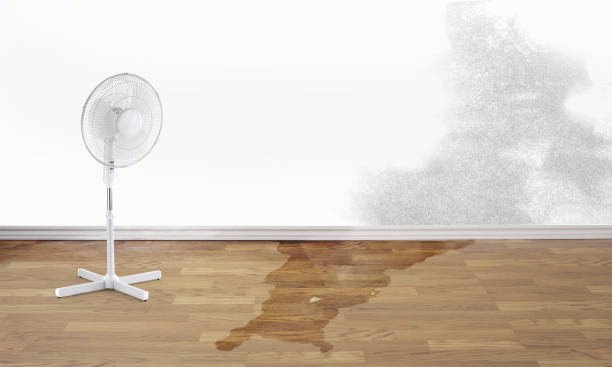 Sewage cleanup and water damage restoration in ID