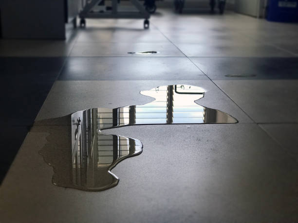 Best Water damage restoration cost  in Heyburn, ID