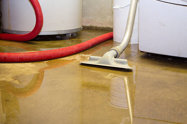 Best Water damage contractors near me  in Heyburn, ID