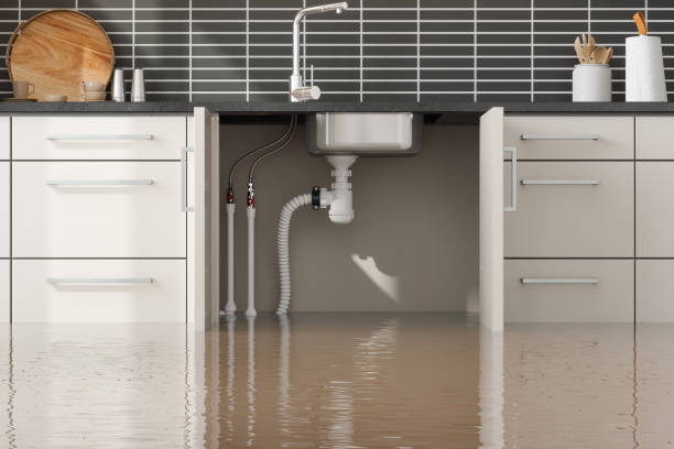 Local water damage restoration in ID