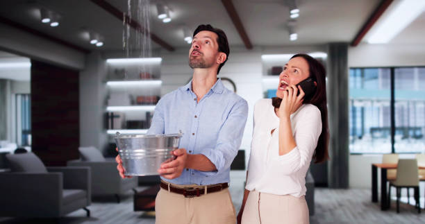 Best Ceiling water damage repair  in Heyburn, ID