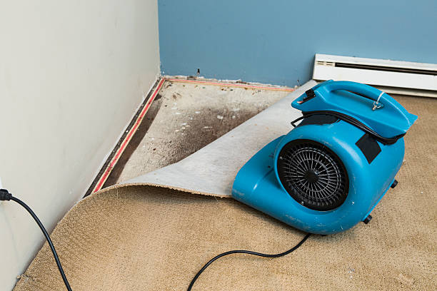 Best Emergency water damage restoration  in Heyburn, ID